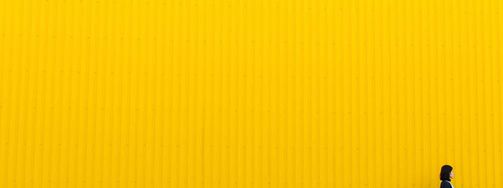 Foto di copertina