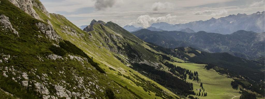 Foto di copertina