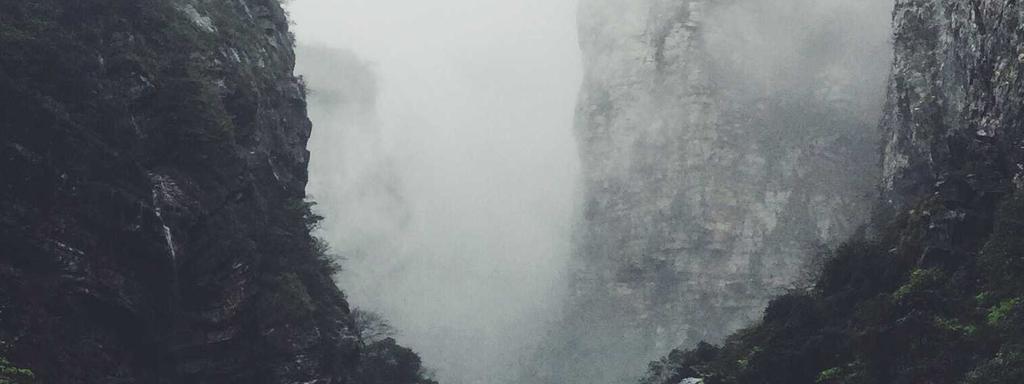 Foto di copertina